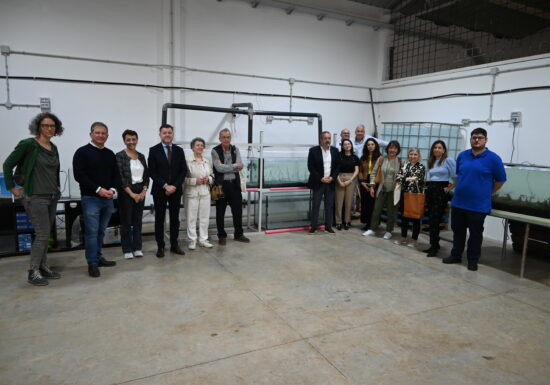 ALGAS IN VITRO PARA REPOBLAR LAS ZONAS COSTERAS DEGRADADAS